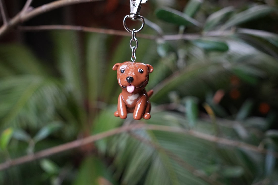 Custom Pet Keychain